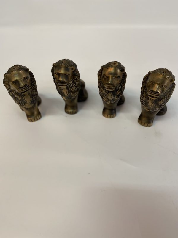Patas con forma de León - Imagen 2